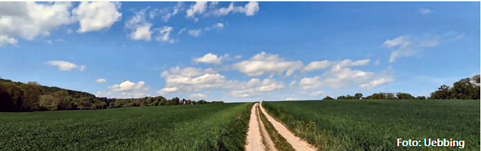 Landschaft